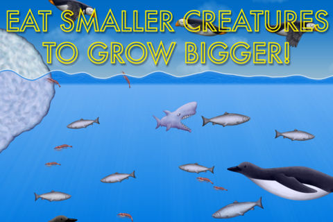 海洋星球游戏安卓版 v1.1.1