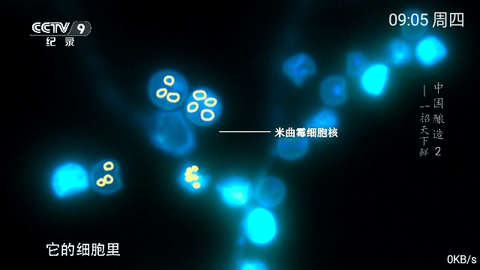 小乐TV影视软件app官方版 v4.1.0