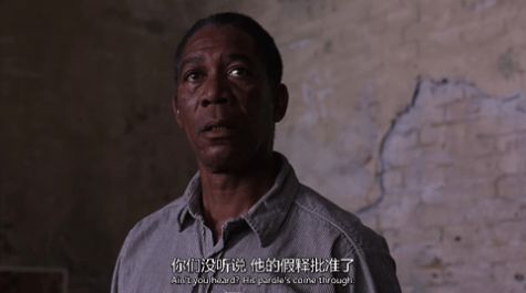 小枫影视TV官方app免费版 v3.7.0