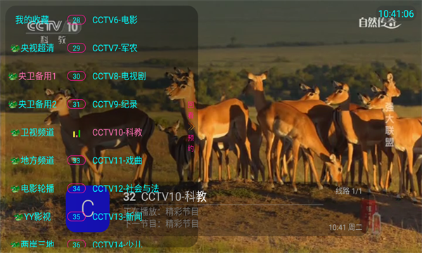 飞龙电视tv官方版app v0125