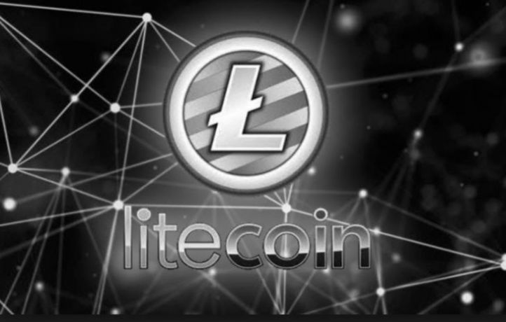 Litecoin wallet官方安卓版app v1.0.0