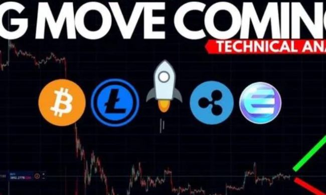 Litecoin wallet官方安卓版app v1.0.0