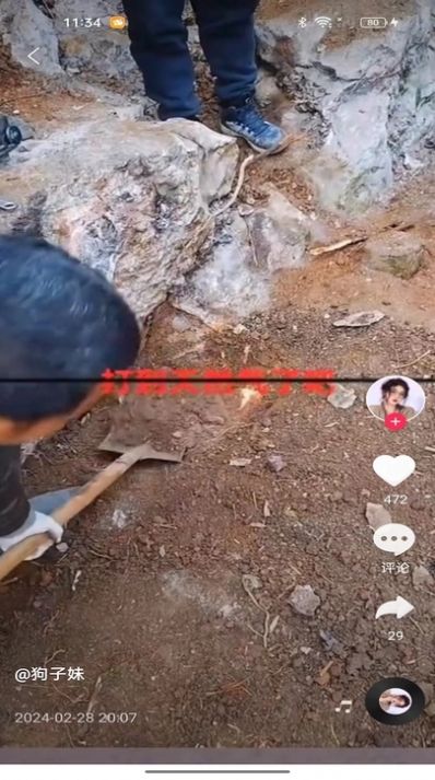 慧猫宝app手机版 v2.3.6