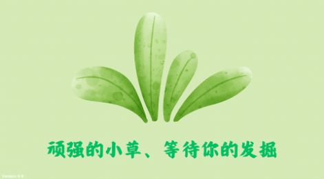 小草TV软件免费版 v6.8
