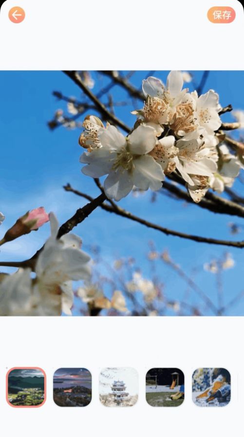 全民拍照大师官方版app v1.0